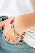 Rocky Mountain Magnificence Set - Multi